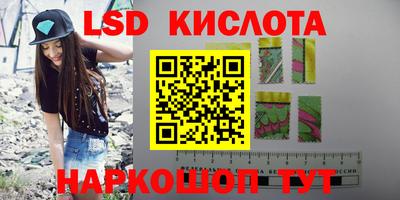 прущие грибы Новозыбков
