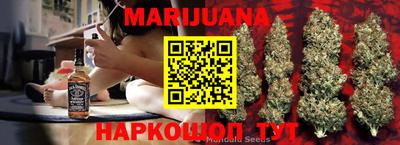 прущие грибы Новозыбков